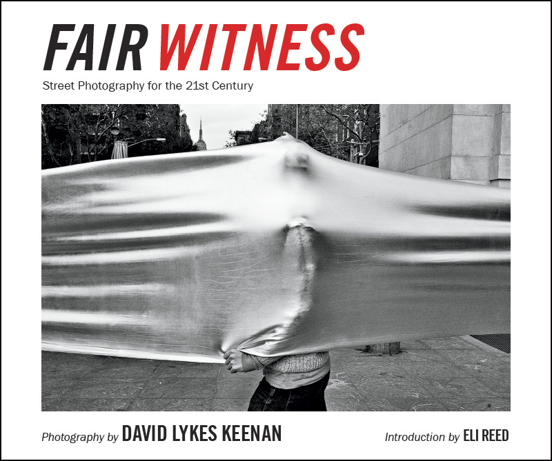 Fair Witness book cover